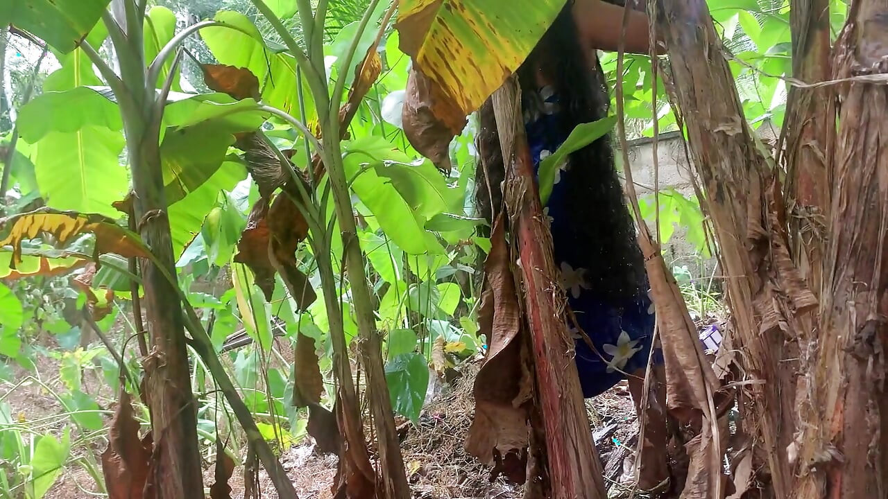 The Desire That Arose When I Went to the Forest to Bring Something to Cook.