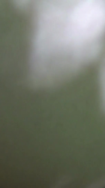 Jaw-dropping moment from "Sex outdoor for Melody Pleasure and Cheffie Shot"