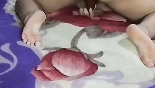 Kelinci seksi