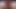 POV: Blowjob