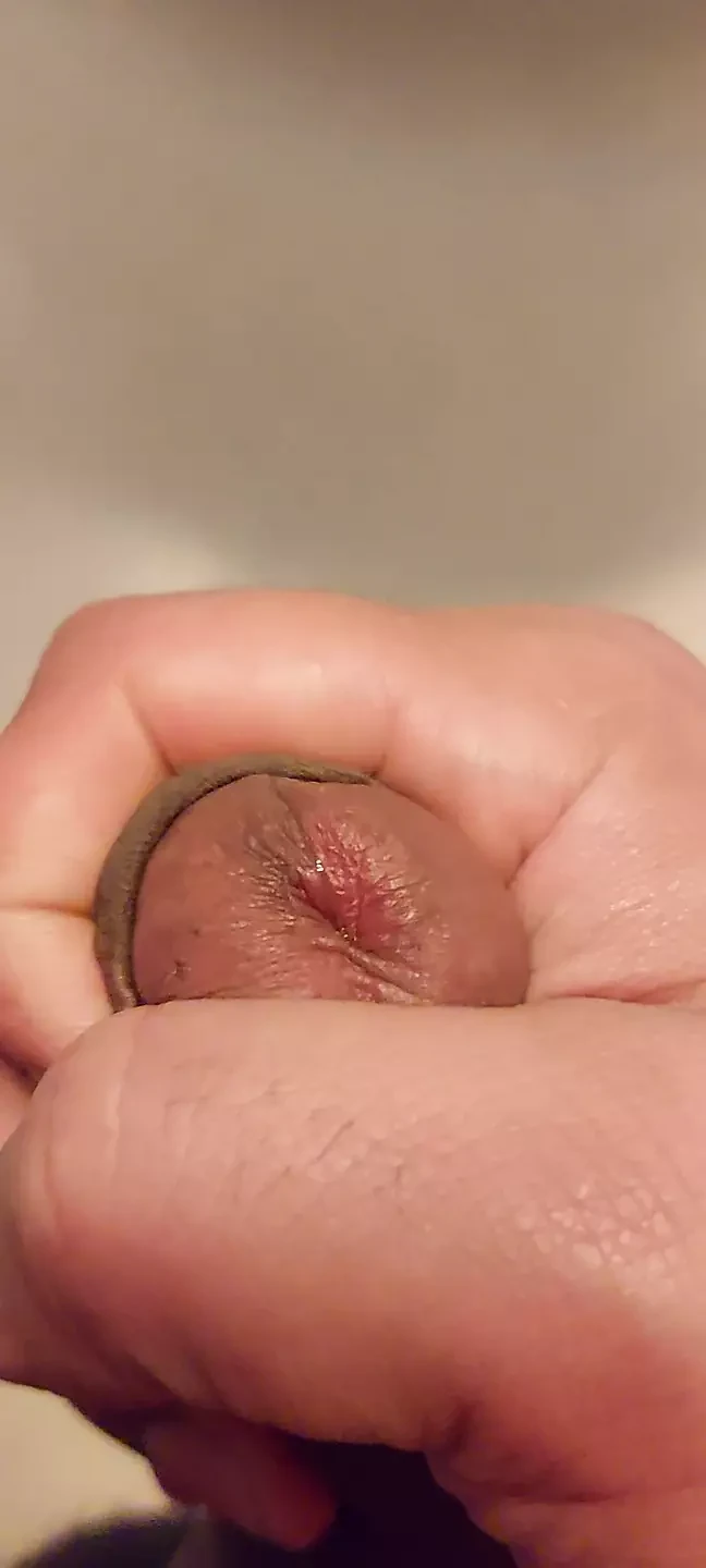 Average Cock Latino dick,  Black dick, close up natural boy homemade amateur
