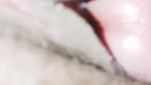 Memek dan kontol pink closeup