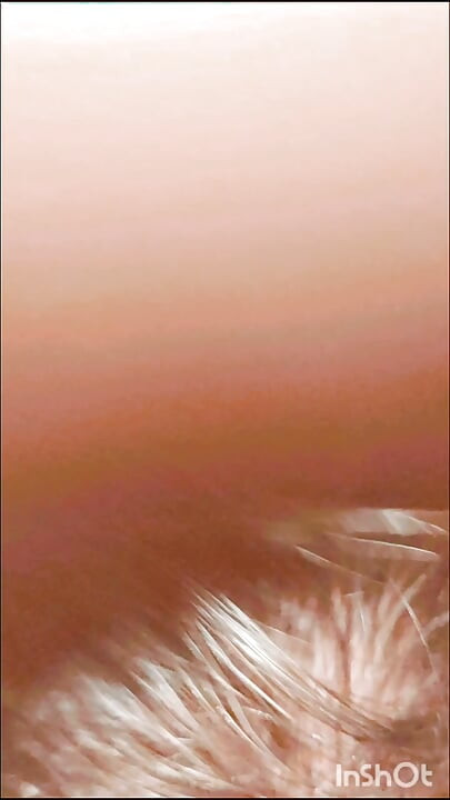 Suck Suck Good Sissy