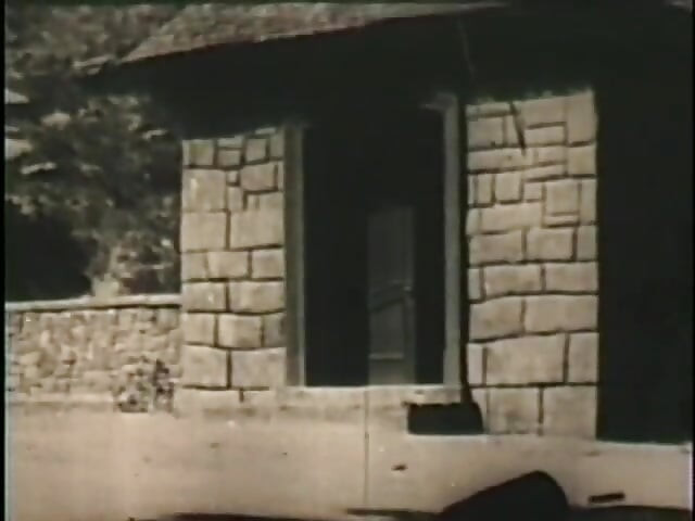 Gamla vintage stora bröst kycklingar