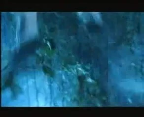 crouching tiger hidden penis