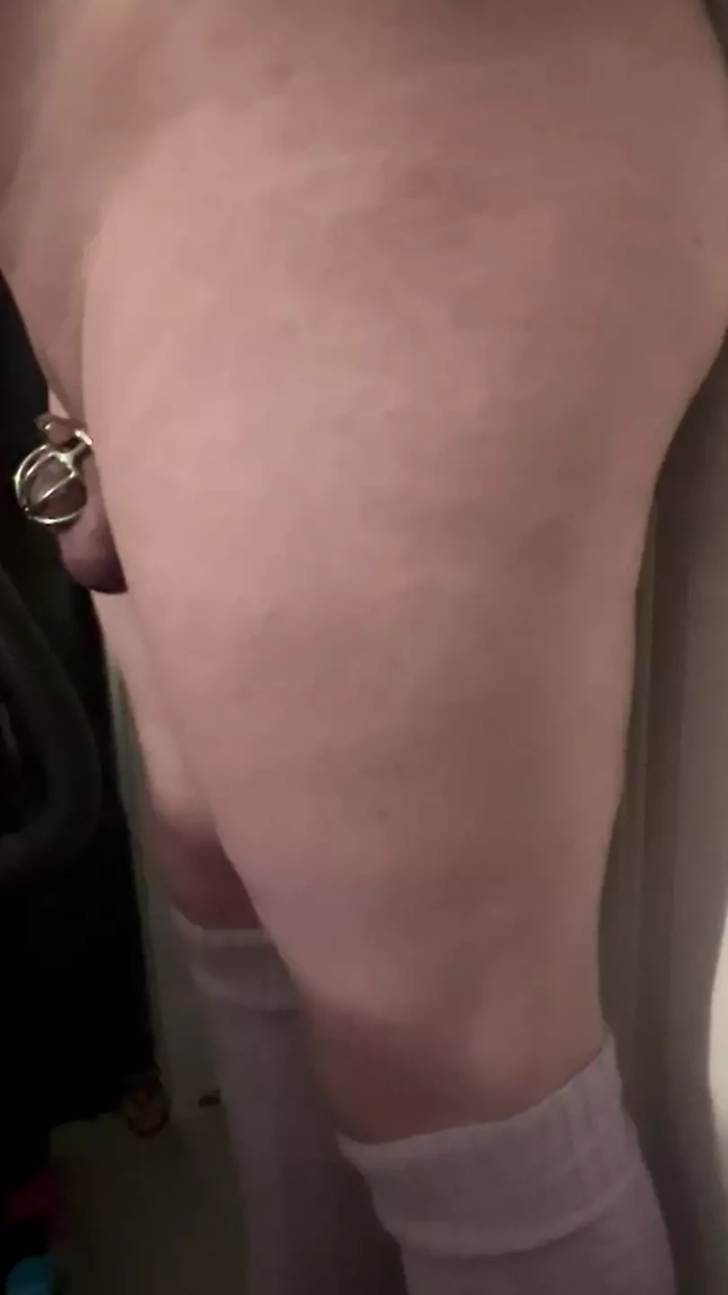 Chubby sissy taking dildo in chastity