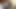 video 351