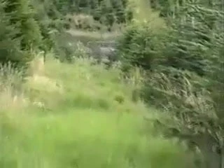 Outdoor fun