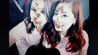 TWICE Chaeyoung and Dahyun Cum Tribute