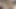 Amateur Slut Homemade Porn 182