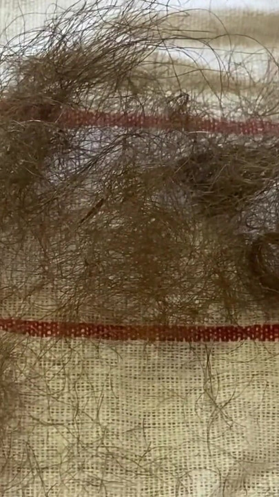 Detik ikonik dari "Rambut Pepek memancut mani fetish semak berbulu"