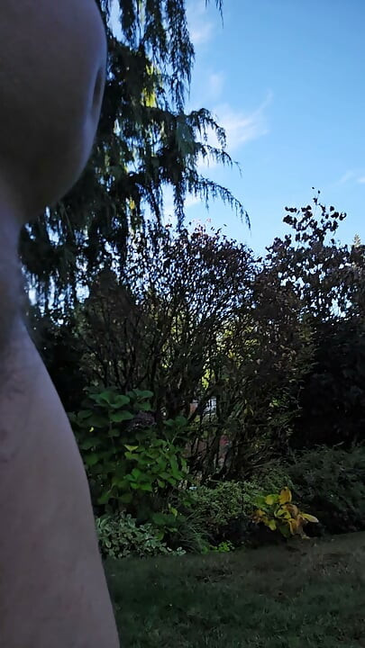 霜晨