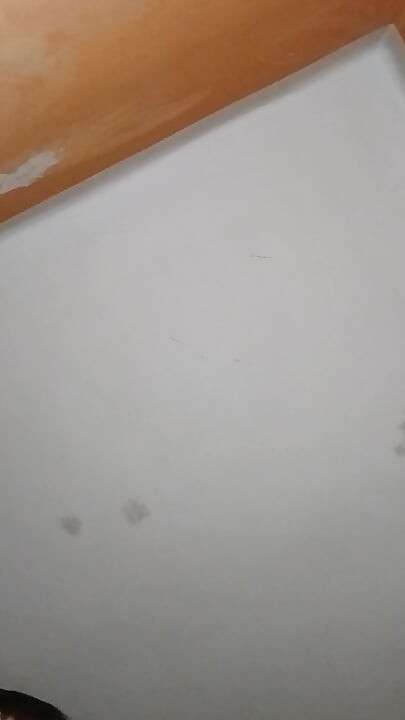 Seks lutke amaterske