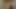 हॉट वाइव्स केरी विंडसर