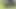 Little Indian Finds a Woman Resting in the Forest, Gets Horny Looking at Her Ass and Ends up Putting His Cock in Her.