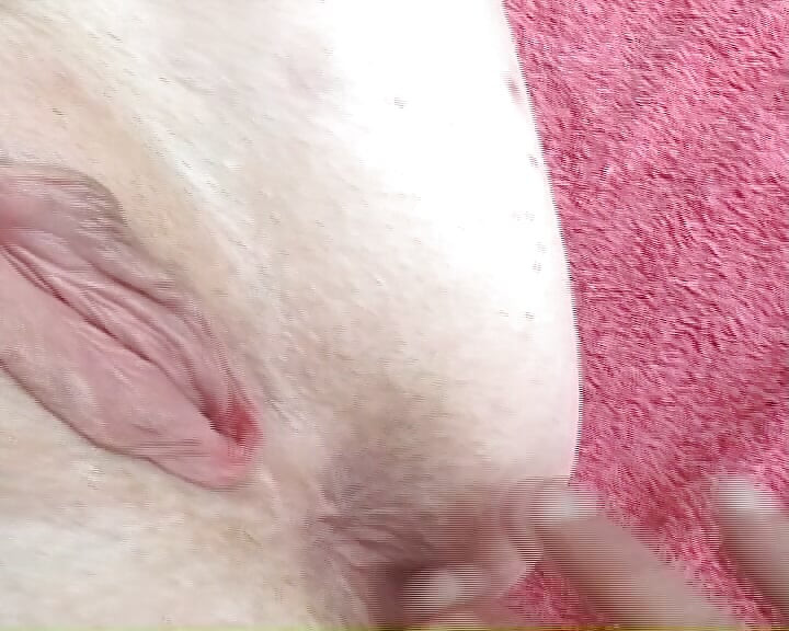 SHELLEY LA PUTA LECHERA