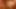 Shanis gibt David el Moreno Analsex und tiefen Blowjob