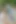 Komşu fahişemi parkta buluyorum ve onu sikmemi istiyor - İspanyolca porno