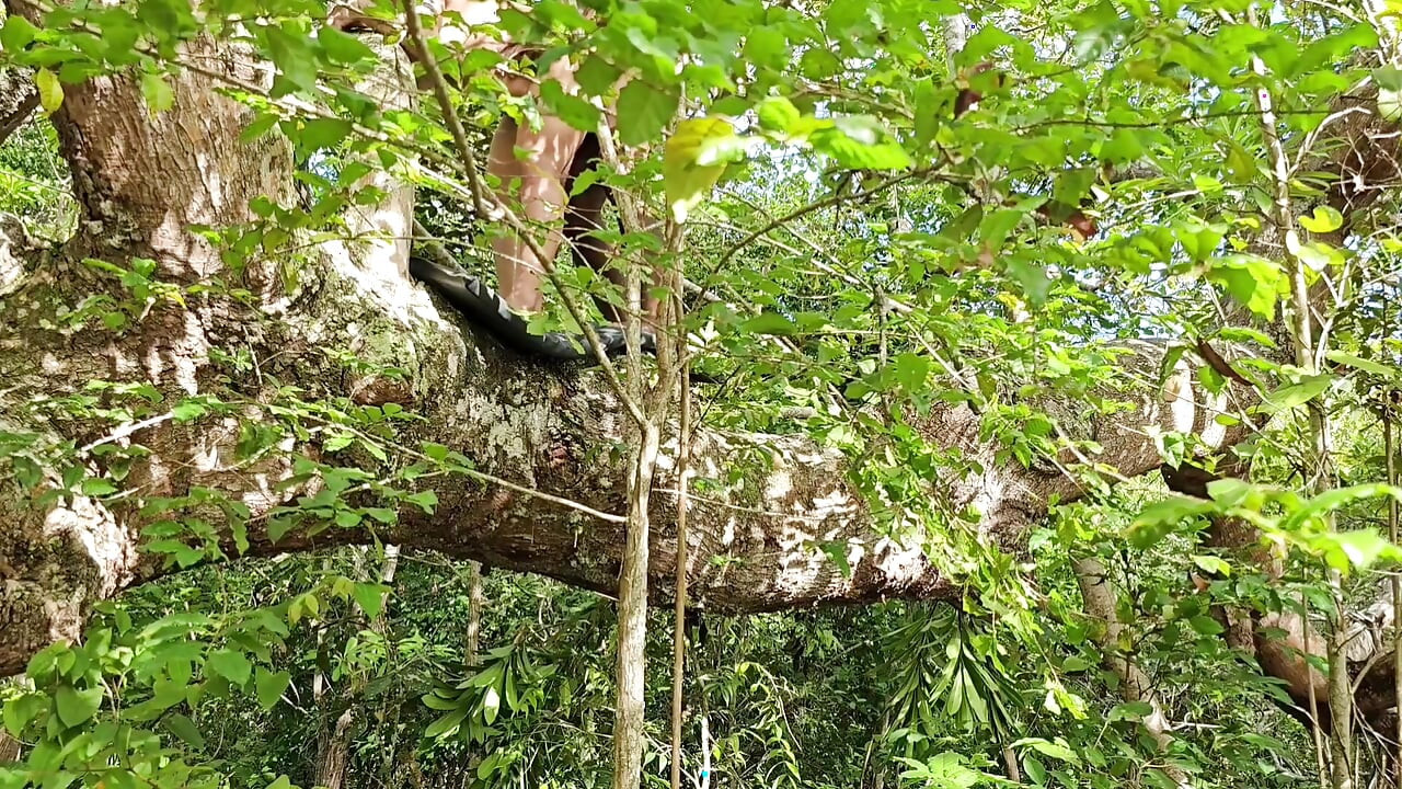 FRIEND I CAUGHT IT IN THE FOREST AND I PUT MY COCK VERY HARD GIVING A SIP INSIDE MY ASS