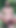 Huge Cum load 💦 in Forest