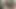 Huge Fucking Cock