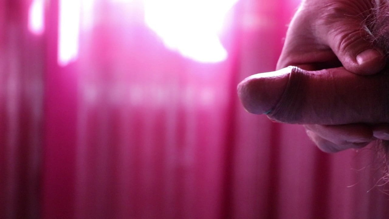 Im gegenlicht
