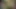 Peregangan anal zoom oleh Lela Star