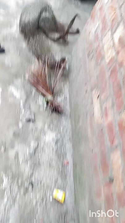 Pakistan viral video Pakistani TikTok star viral sexy video
