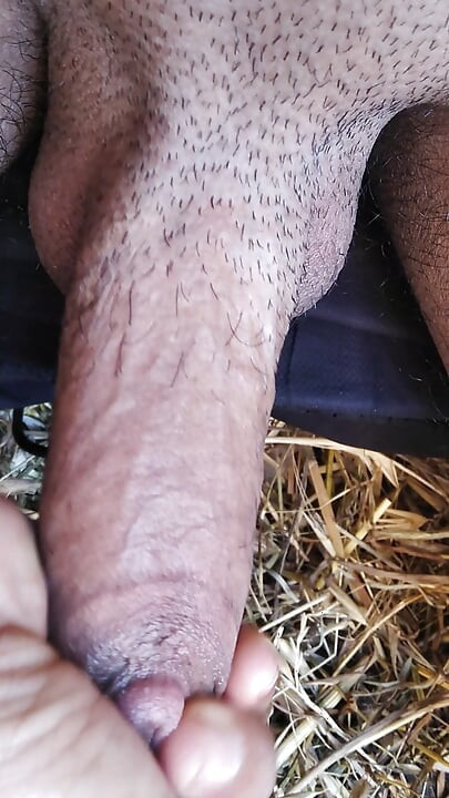 My cock so hard