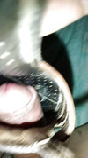 Pregled videozapisa