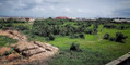 Pratinjau video
