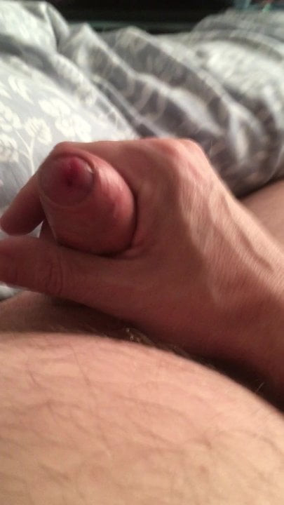 Morning Glory