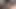 Gerçek azgın Alman spot ışıklarının önünde seks oyuncağıyla amına mastürbasyon yapıyor