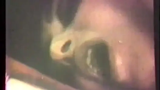 Марлен Уиллоуби «Закованная шлюха»