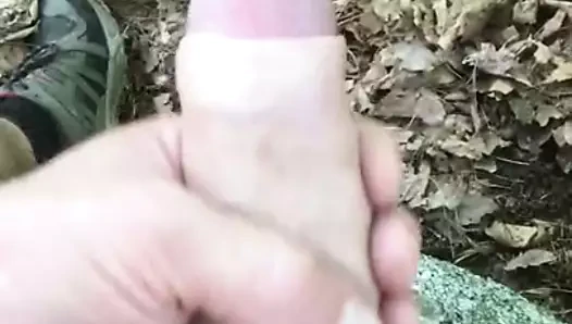 अपने से कामोत्तेजन में जंगल
