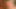 2 Big Fat BBW Lesbians love kissing, sucking their pussies-2