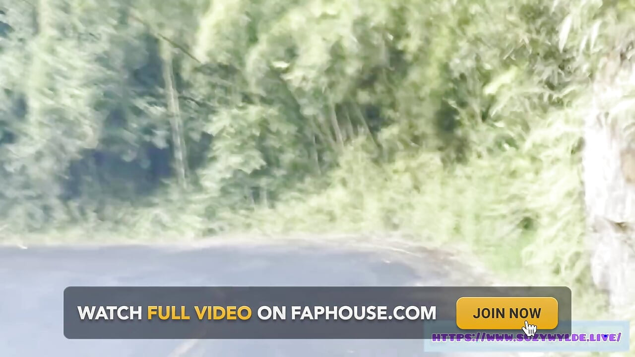 Sfw road trip a Hana per suzy wylde a Waimoku falls, Maui