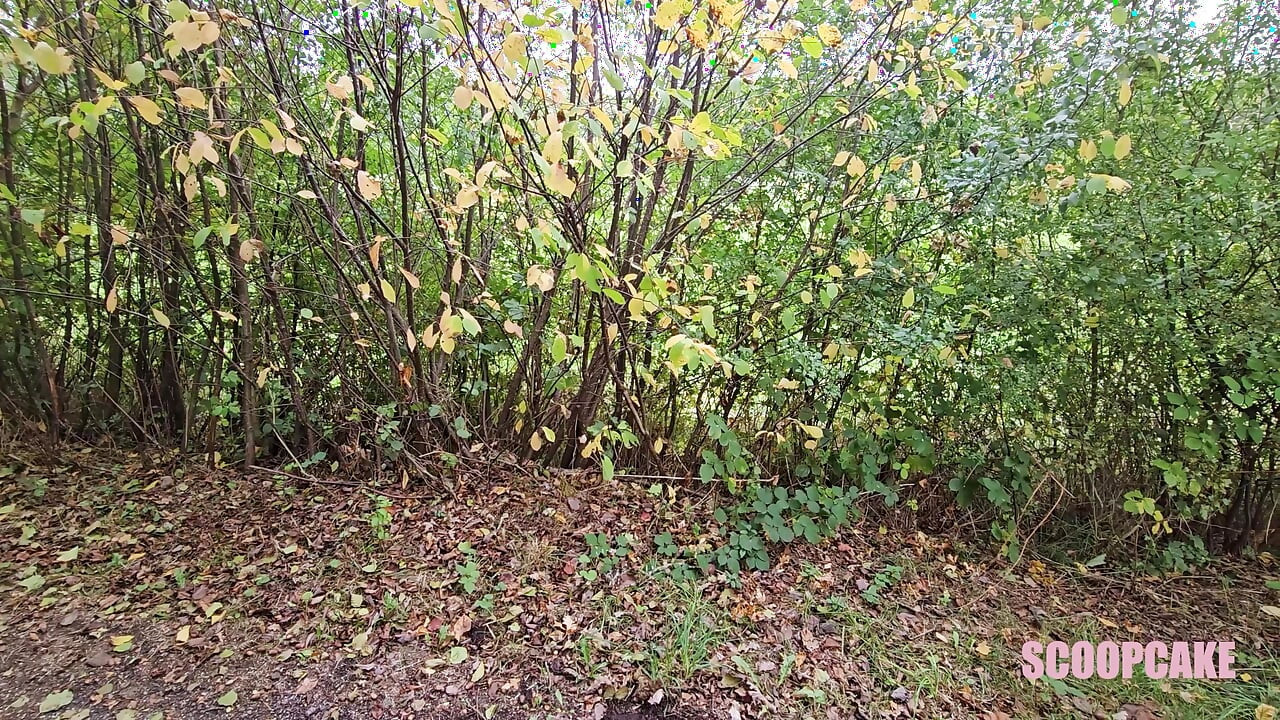 German Blonde Pisses Outdoors and Gets Fucked in Crotchless Pantyhose