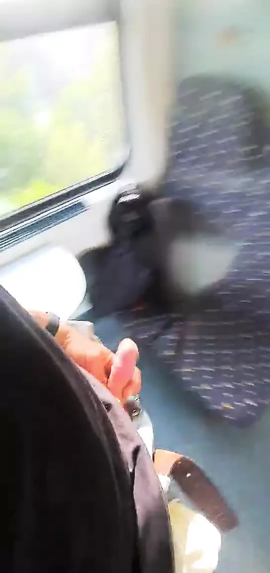 Go nude in a train in public area