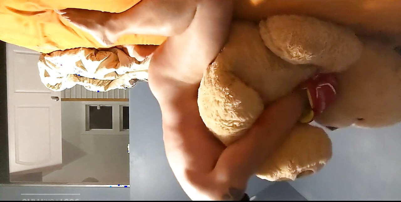 I Fuck My Teddy Missionary