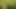 Edge of the woods jerk off