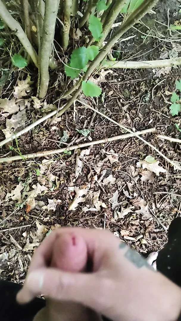 I once played in the bushes and now I like it more there