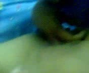 hbgsdkd fsd