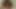 I want you to fill my mouth with your cum JOI