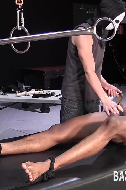 A Handsome New Plaything