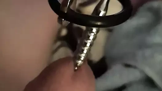 sondaj