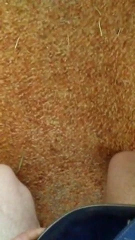 I'm fucking my flip flop