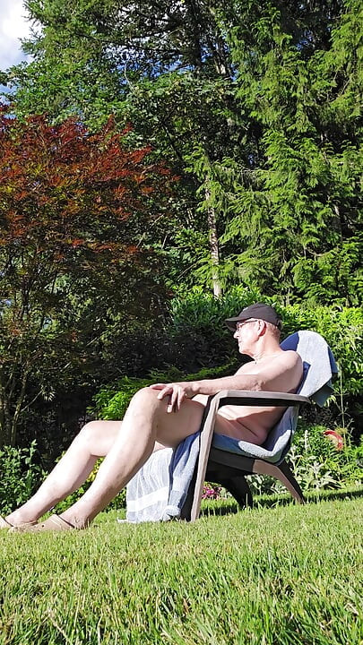 More Sun In The Backyard
