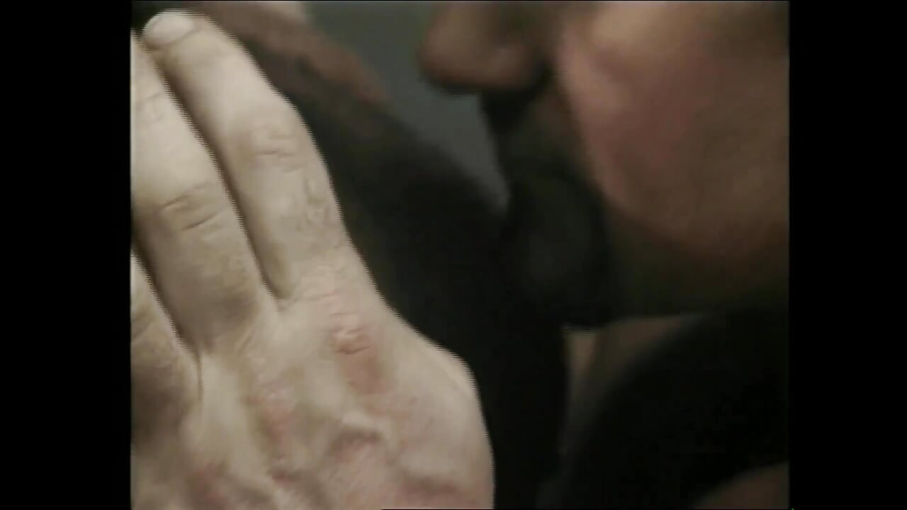 我寻找你的屁股