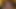 素敵なお腹